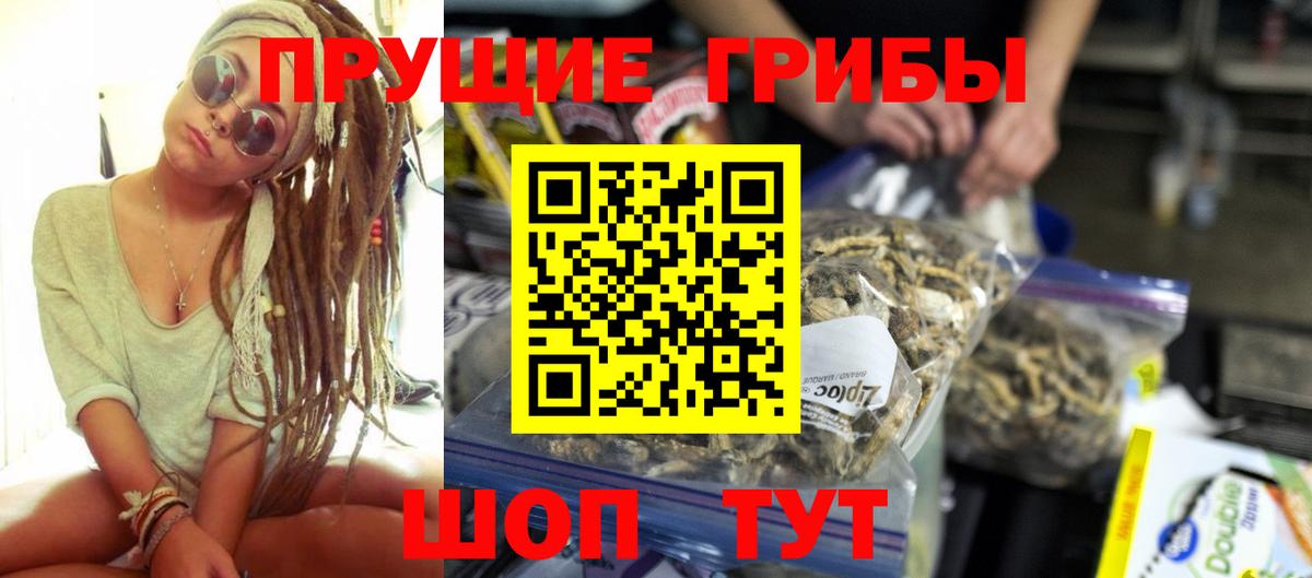 Усть-Илимск  Псилоцибиновые грибы Psilocybe  Вход с VPN 